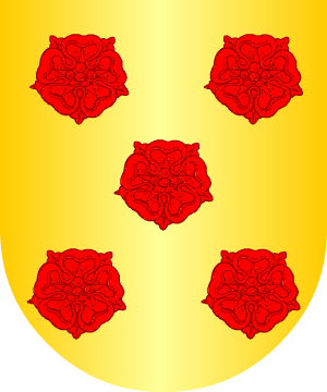 ESCUDO ALEATORIO